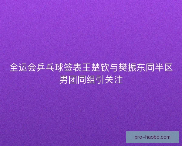 全运会乒乓球签表王楚钦与樊振东同半区男团同组引关注 全运会乒乓球签表王楚钦与樊振东同半区男团同组引关注