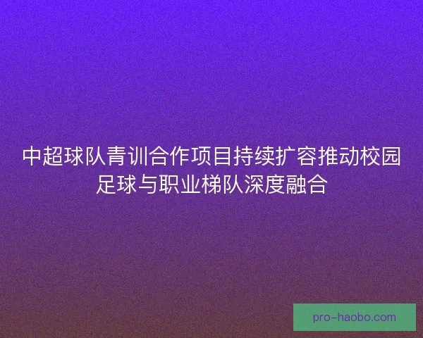 中超球队青训合作项目持续扩容推动校园足球与职业梯队深度融合