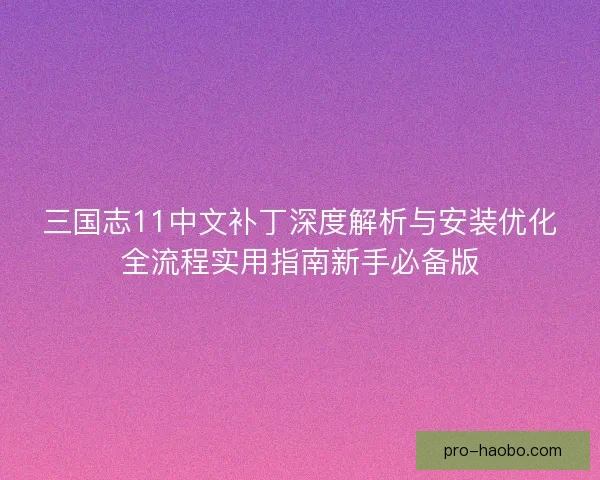 三国志11中文补丁深度解析与安装优化全流程实用指南新手必备版