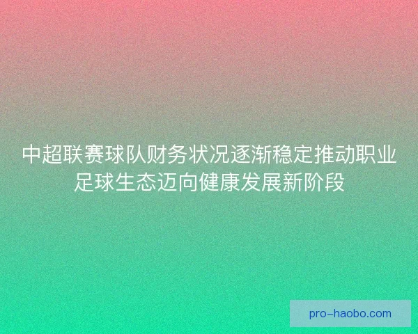 中超联赛球队财务状况逐渐稳定推动职业足球生态迈向健康发展新阶段